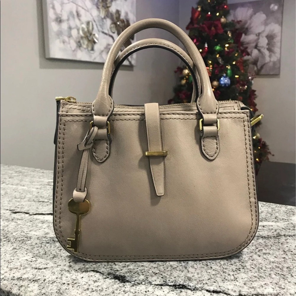 Fossil Mini Ryder Satchel